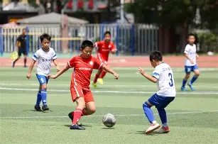 杨紫维权商,家屡次受限,强制执行款,AG真人官网,AG真人入口,AG真人平台,AG真人官方