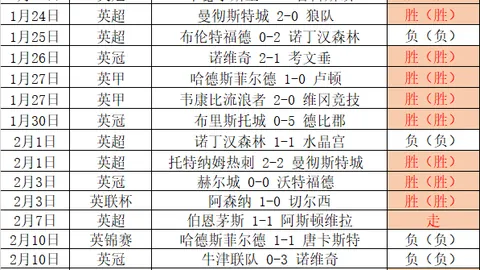 申京全面爆发，得分篮板助攻抢断盖帽齐飞，正负值+30力压群雄
